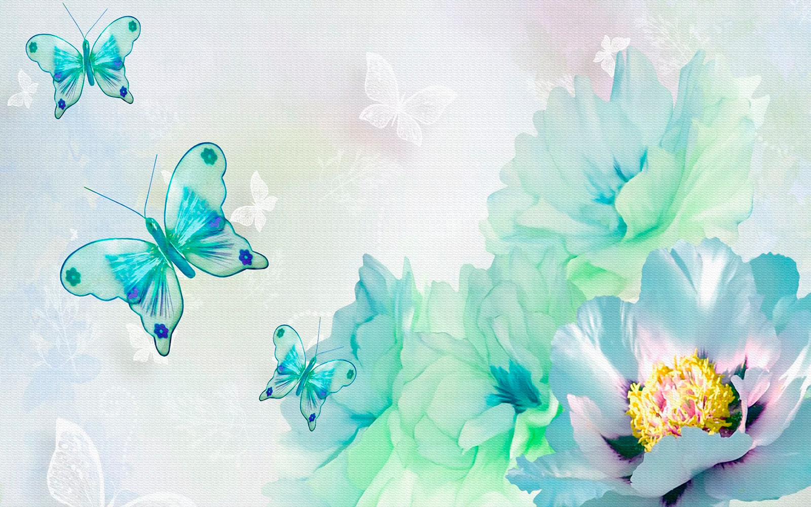 u17716p - Πεταλούδες σε λευκό φόντο - tegory