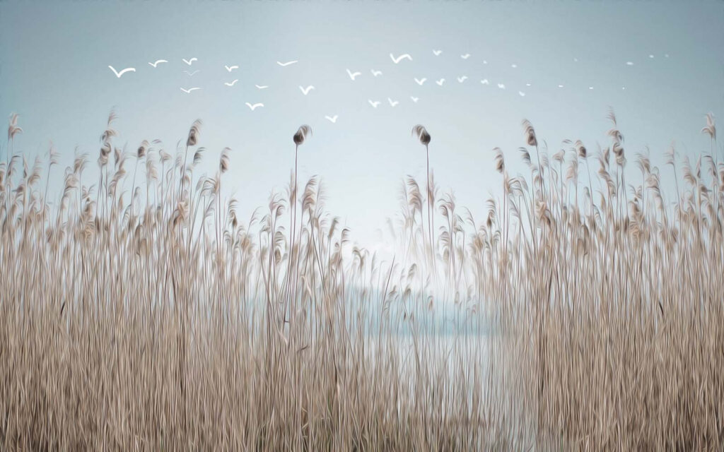 Group of tall grass with birds flying in the sky