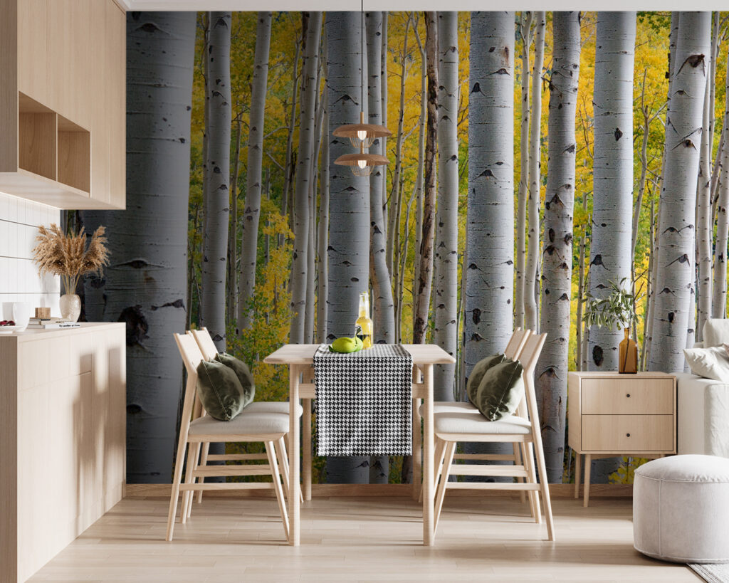 u13453pik119m 1024x819 - Ομάδα λευκών δέντρων με κίτρινα φύλλα - tegory