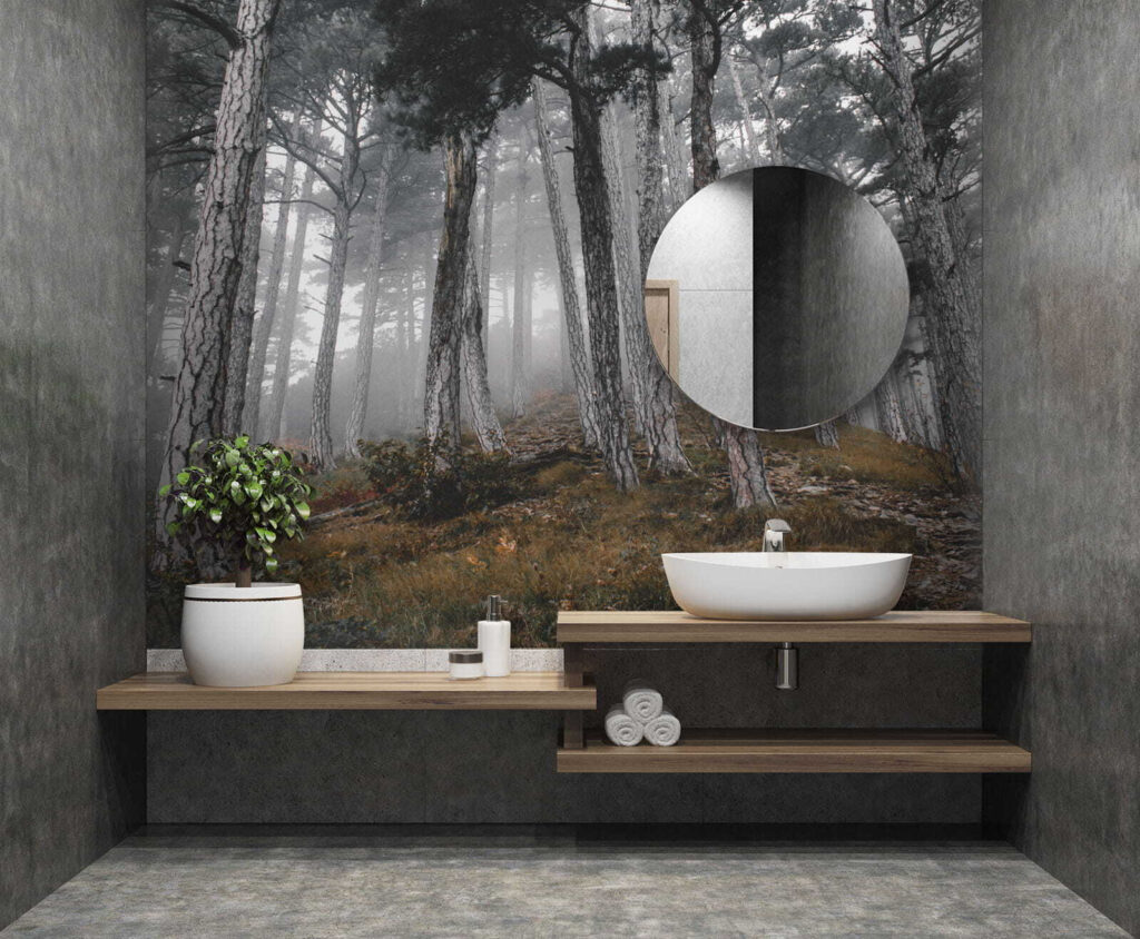 u12556pit1 1024x844 - Δάσος με δέντρα στην ομίχλη - tegory