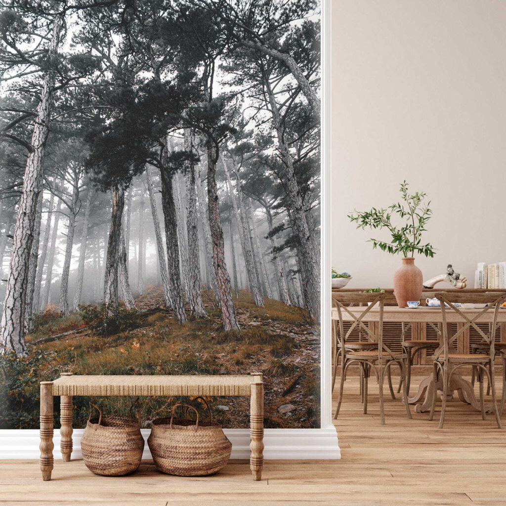 u12556pih4 1024x1024 - Δάσος με δέντρα στην ομίχλη - tegory