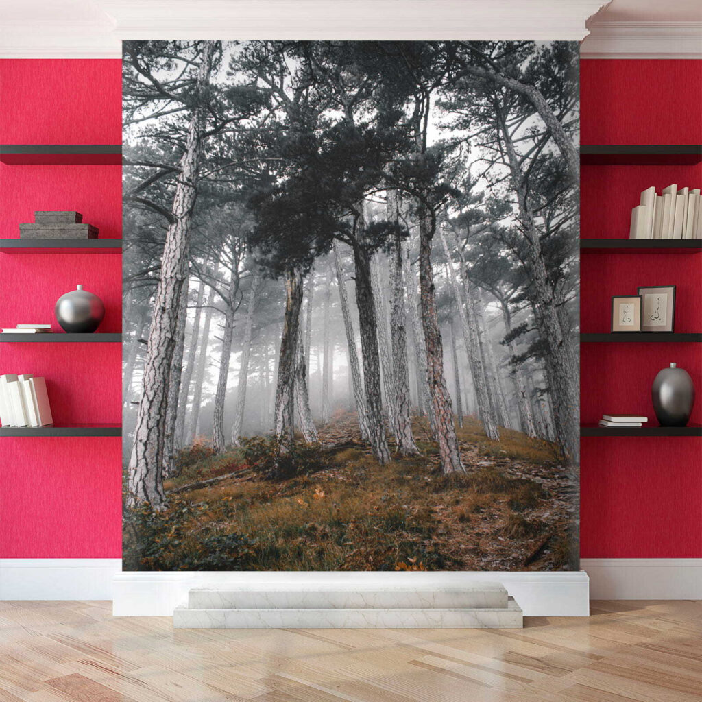 u12556pih2 1024x1024 - Δάσος με δέντρα στην ομίχλη - tegory