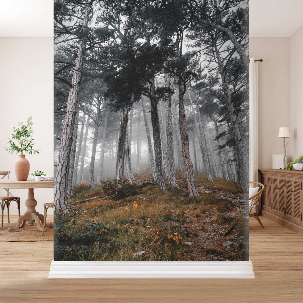 u12556pih1 1024x1024 - Δάσος με δέντρα στην ομίχλη - tegory