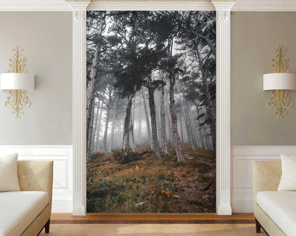 u12556pig2 1024x817 - Δάσος με δέντρα στην ομίχλη - tegory