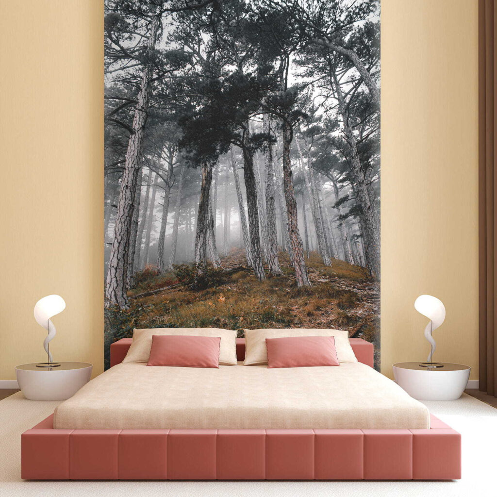 u12556pib1 1024x1024 - Δάσος με δέντρα στην ομίχλη - tegory