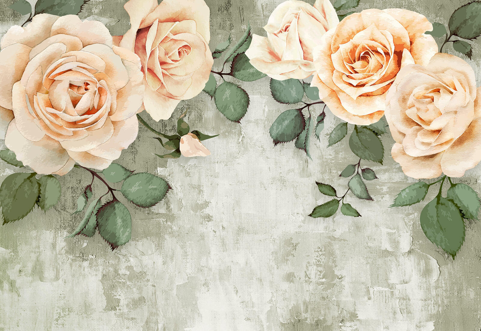 u08545p - Μια ομάδα από τριαντάφυλλα με φύλλα - tegory