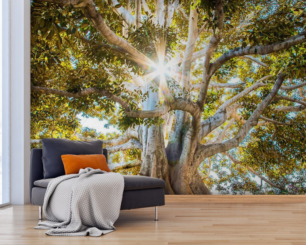 u01271pig25 1024x819 - Μεγαλοπρεπές δέντρο στο λαμπερό φως του ήλιου - tegory