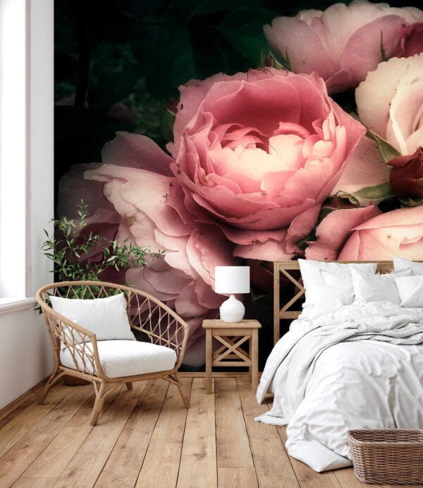 Group of pink and white roses