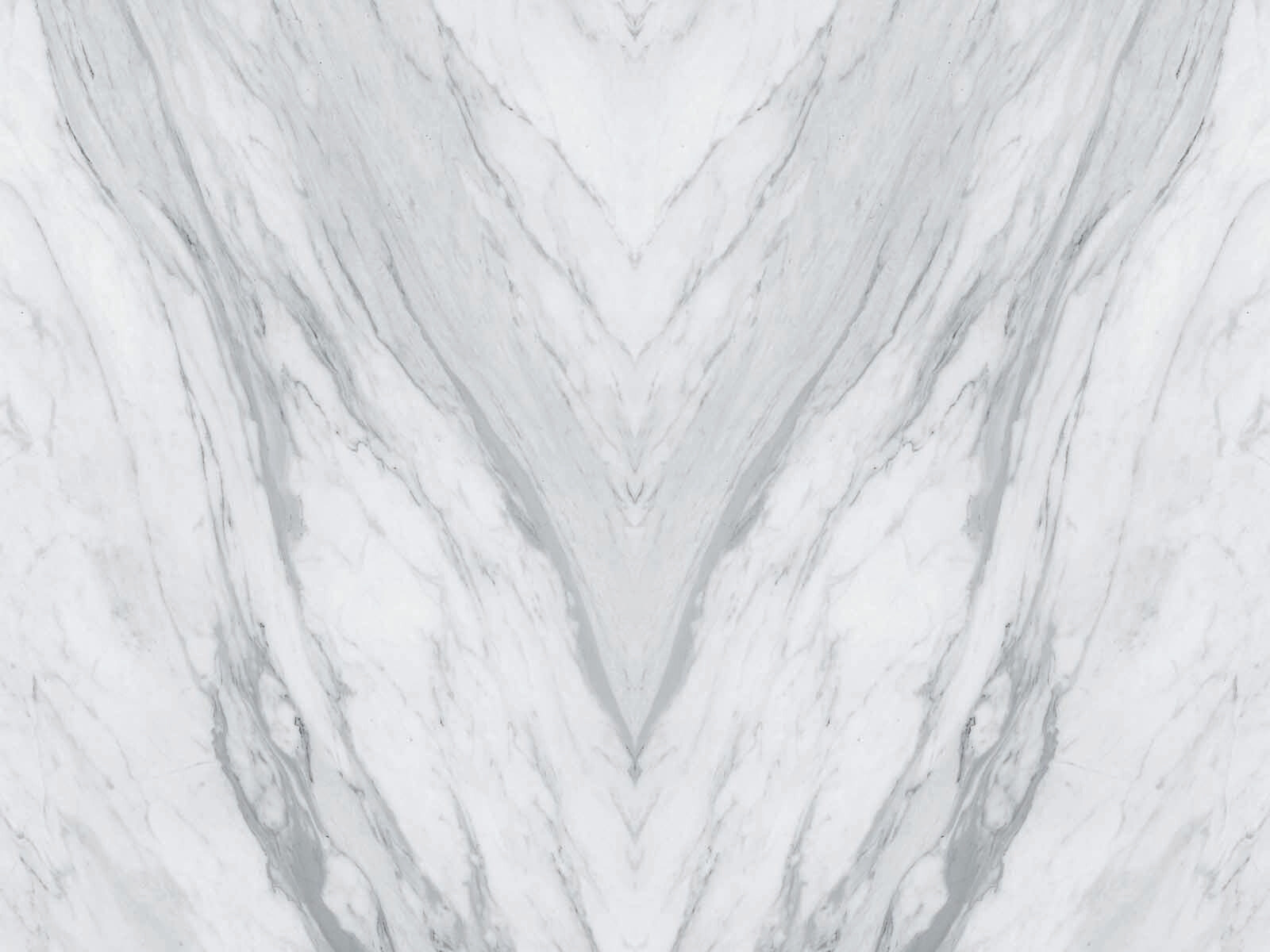White marble surface with black veins White marble surface with black veins