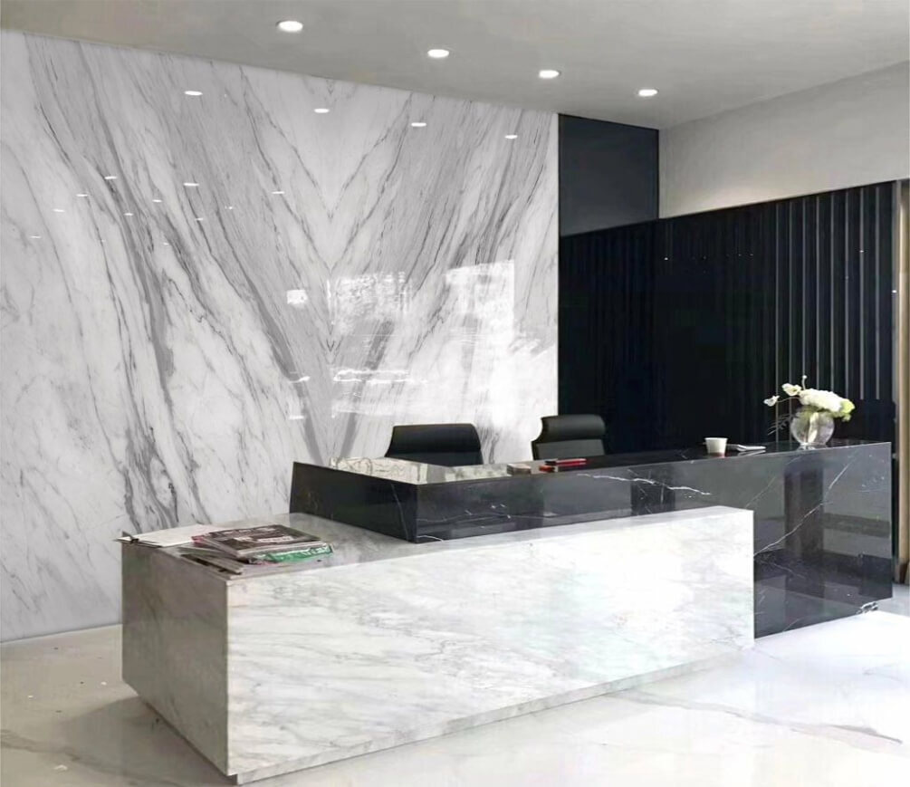 White marble surface with black veins White marble surface with black veins