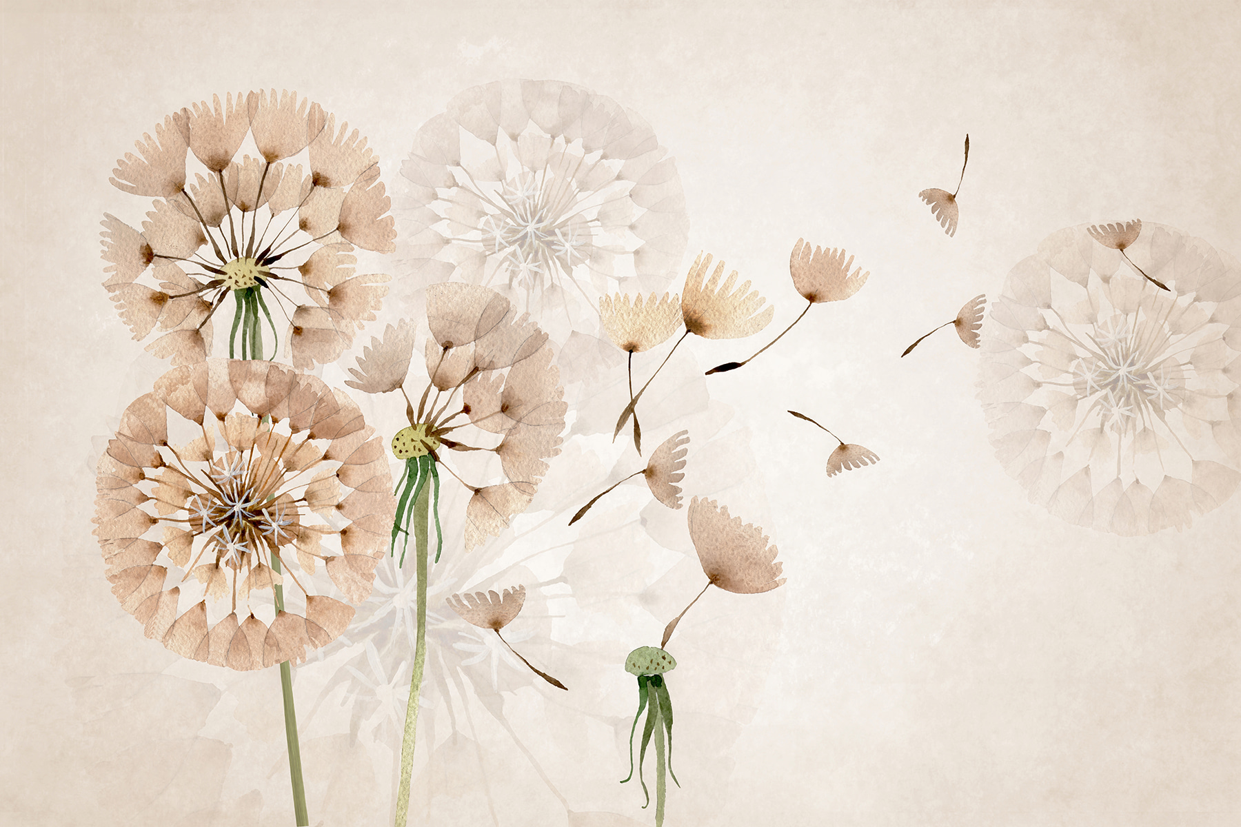 Delicate dandelions in soft hues
