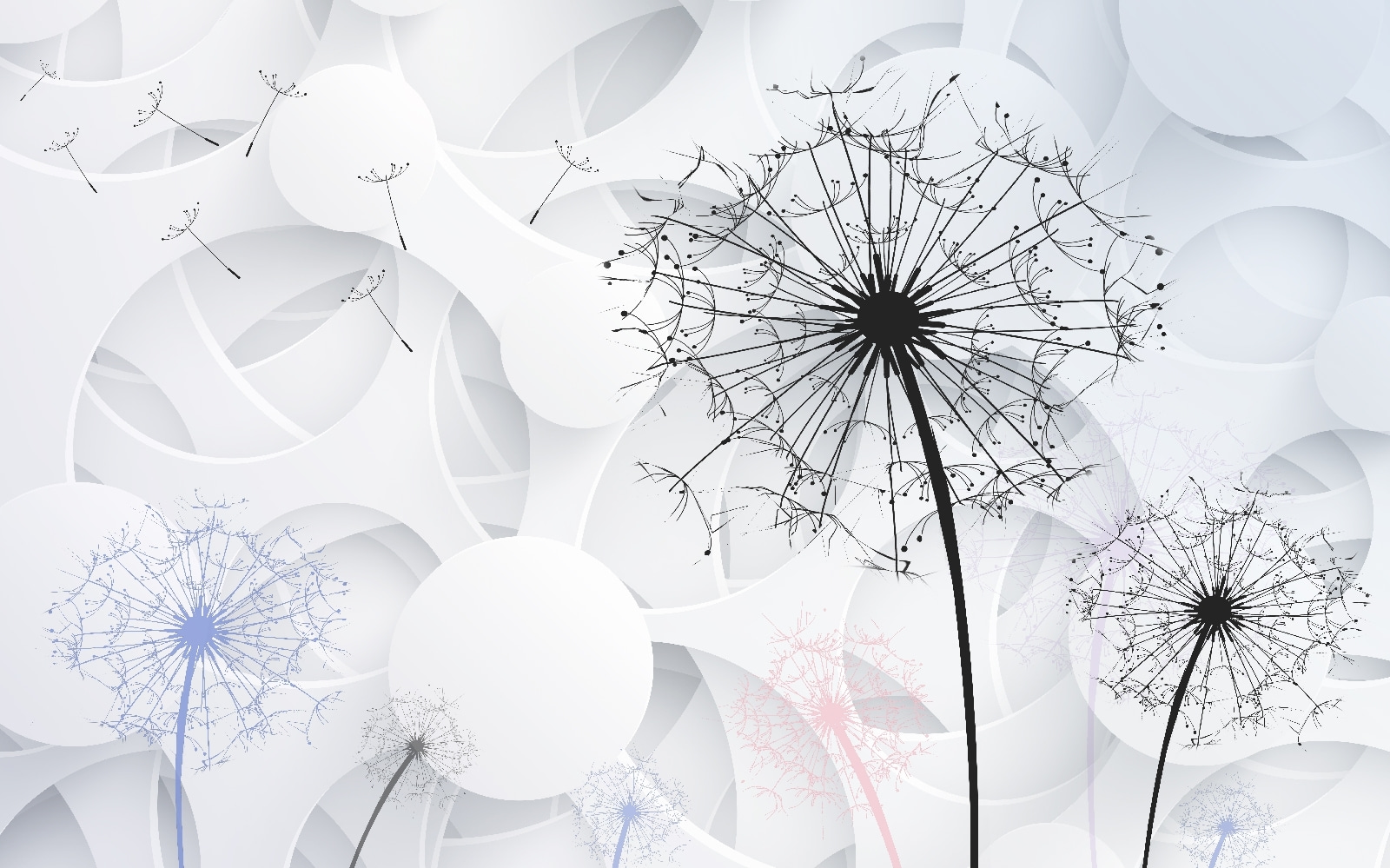 u11926p - Σπόροι πικραλίδας που φυσούν στον άνεμο - tegory