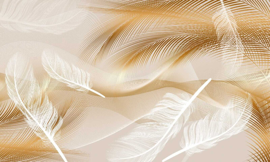 Elegant feathers in soft waves
