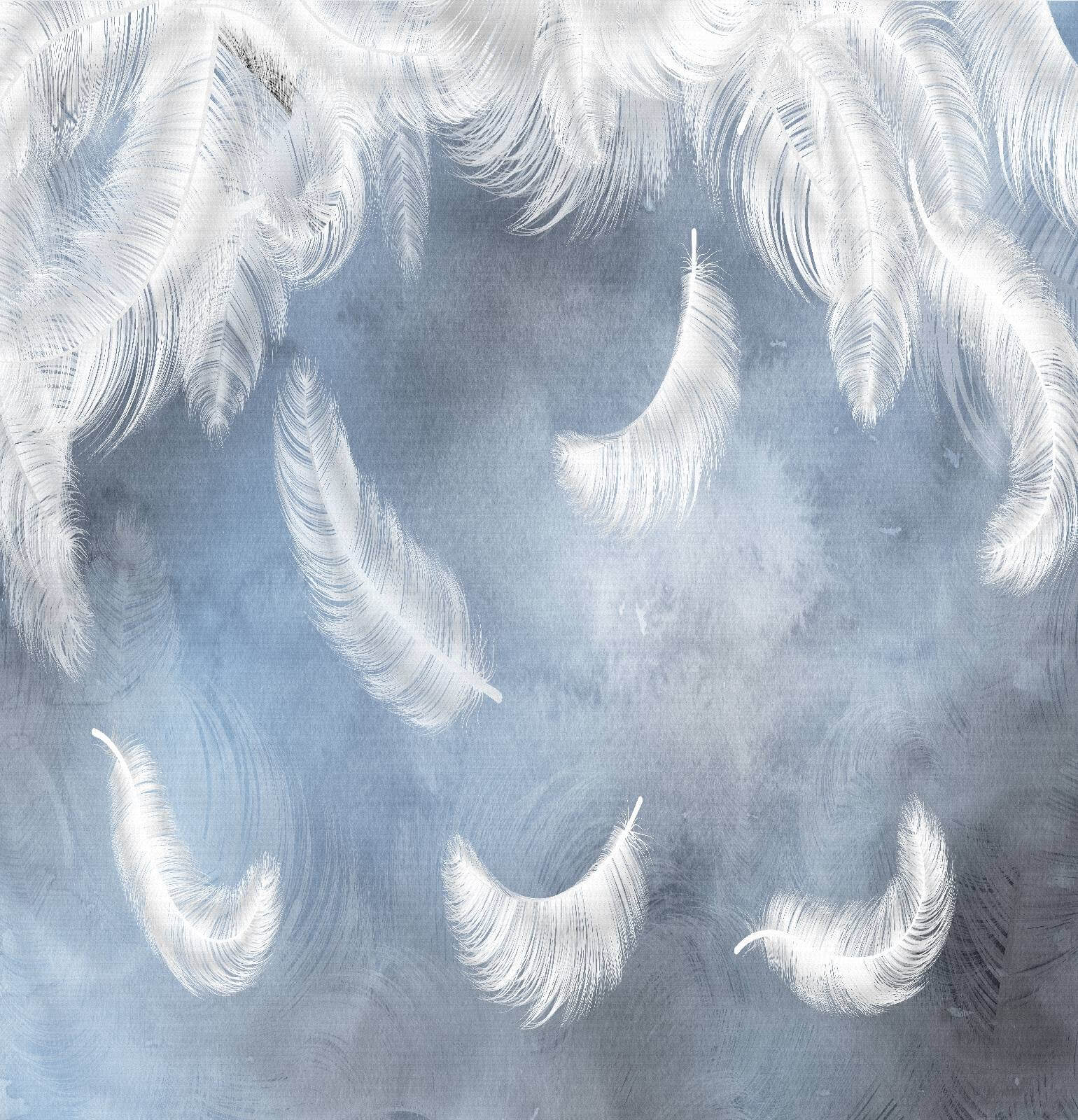 u23747p - Λευκά φτερά σε μπλε φόντο - tegory