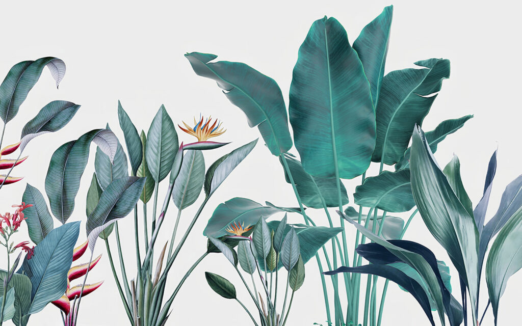 Group of green leaves