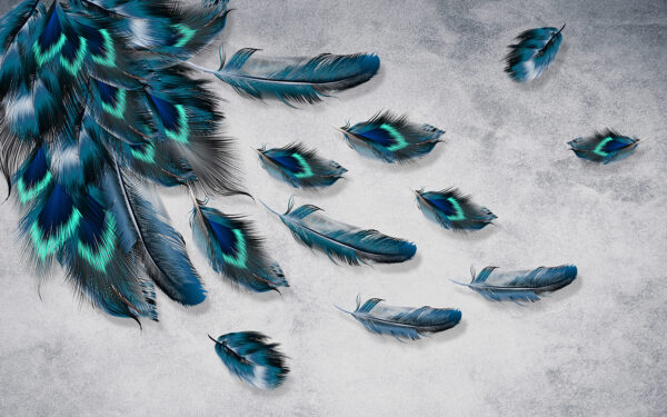 Group of blue feathers