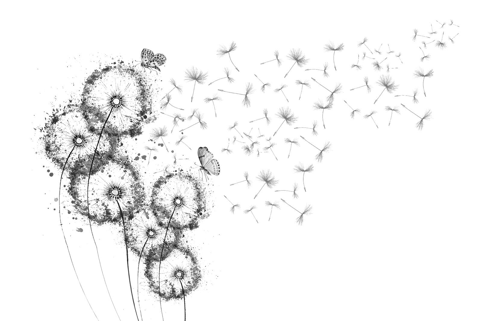 u31381p - Ομάδα πεταλούδων που πετούν στον αέρα - tegory