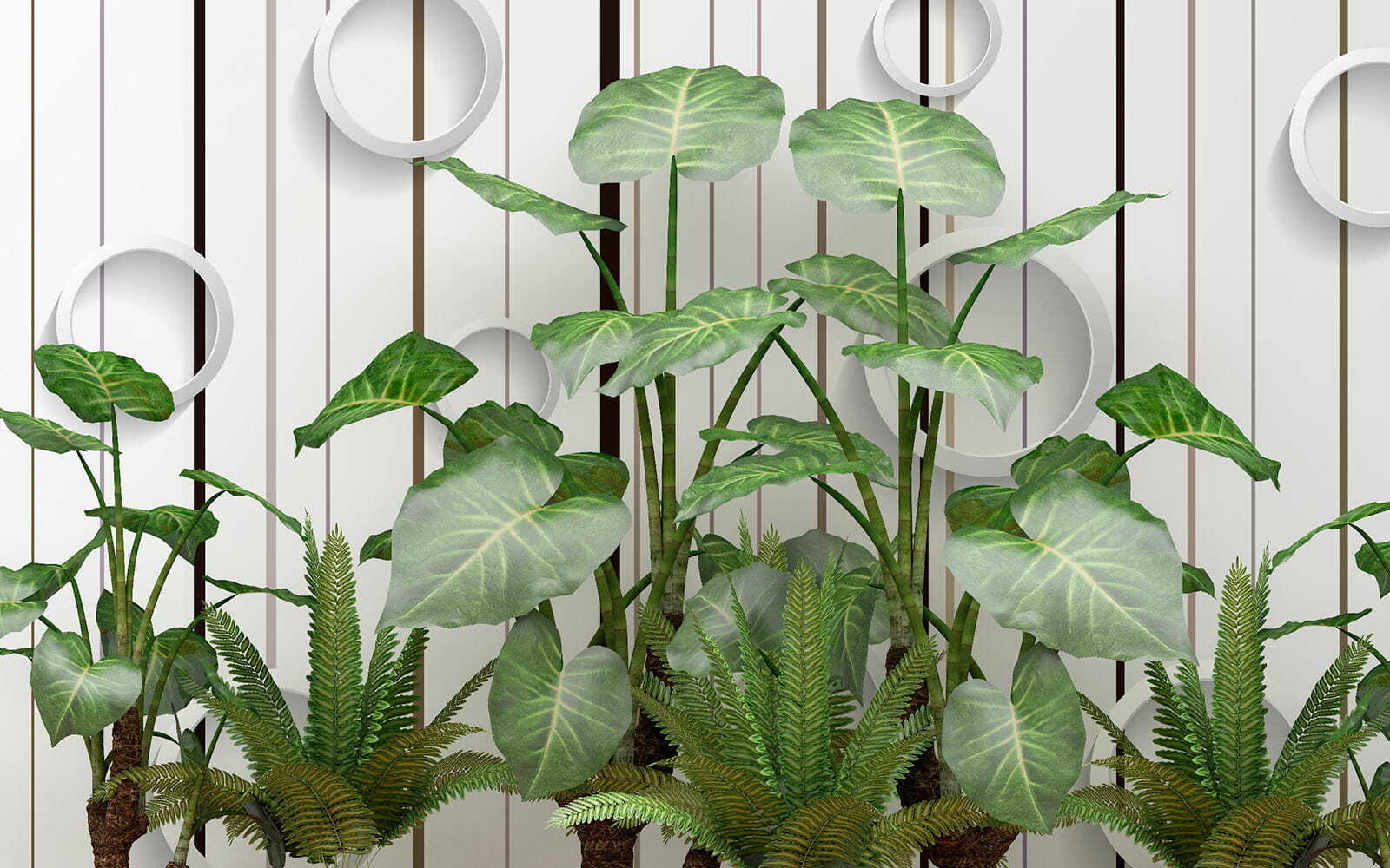 Plant with green leaves