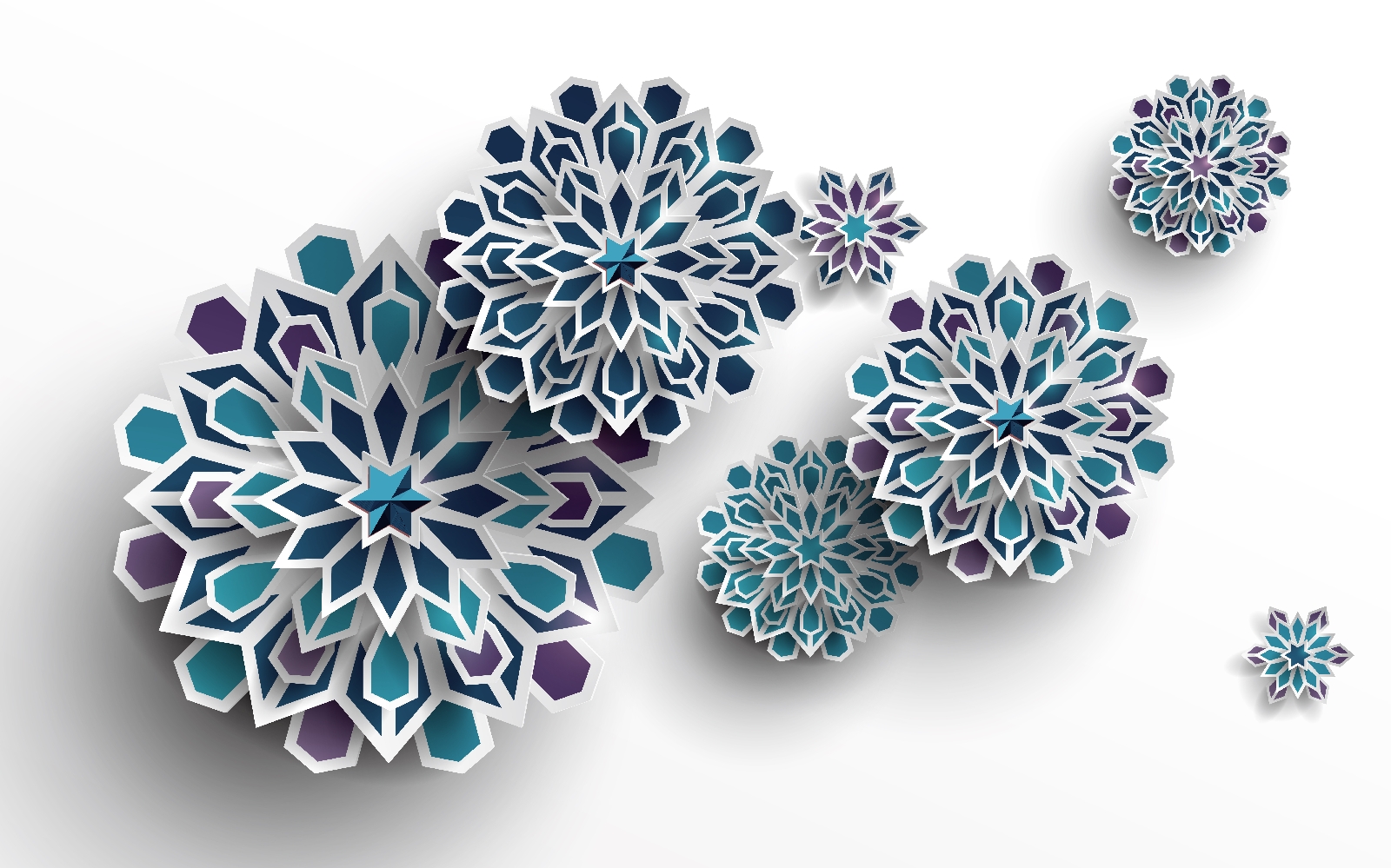 u43560p - Ομάδα μπλε και λευκών λουλουδιών - tegory