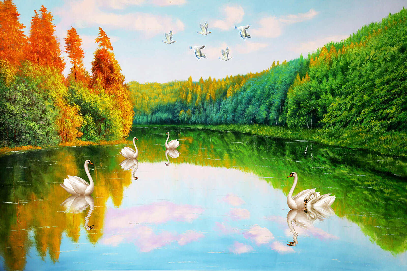 u45771p - Ζωγραφική των κύκνων σε μια λίμνη - tegory