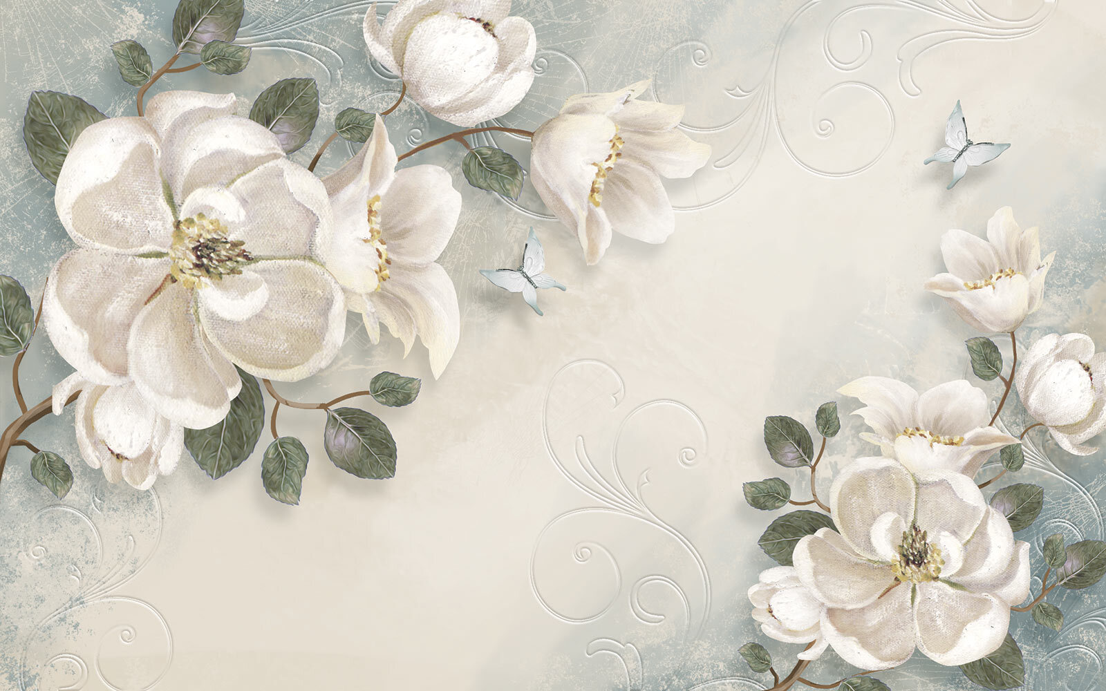 u52620p - Λευκά λουλούδια και φύλλα σε λευκό φόντο - tegory