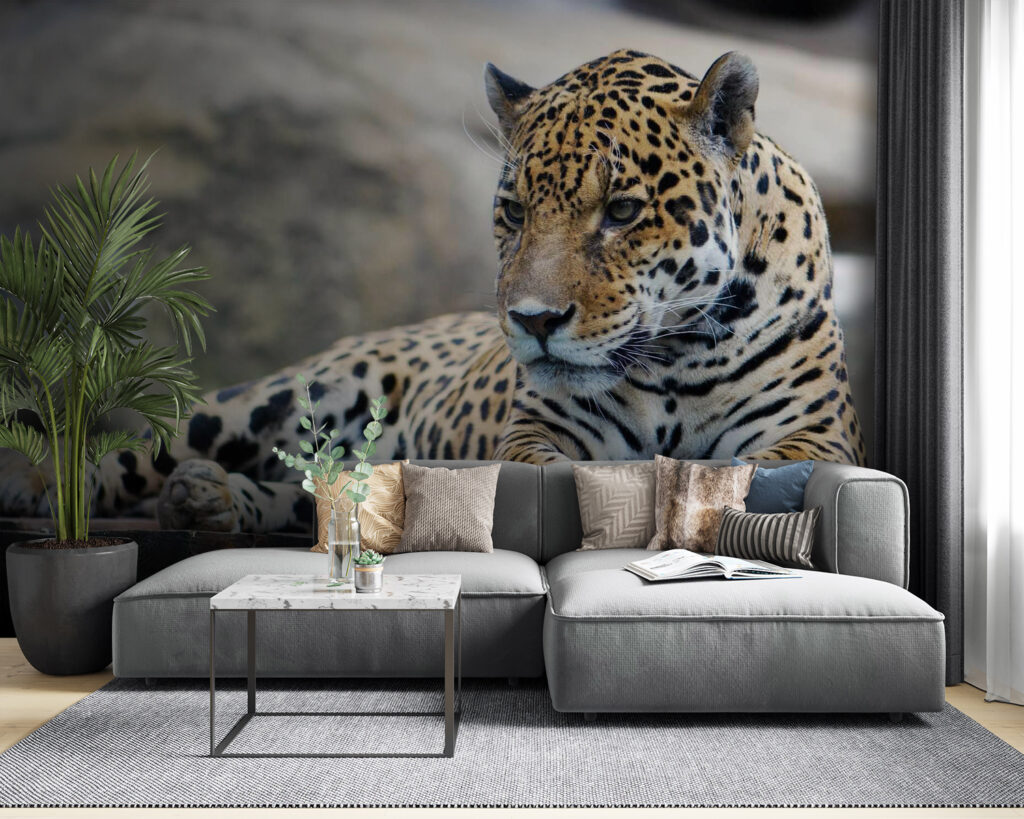 u55313pig53 1024x819 - Λεοπάρδαλη ξαπλωμένη σε ξύλινη επιφάνεια - tegory