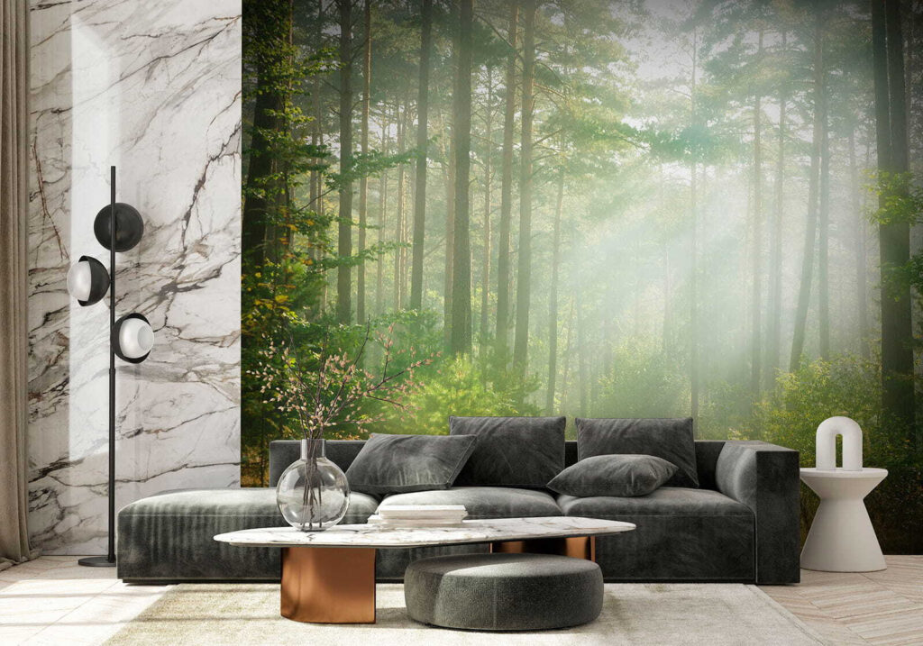 Path through a forest with trees and bushes