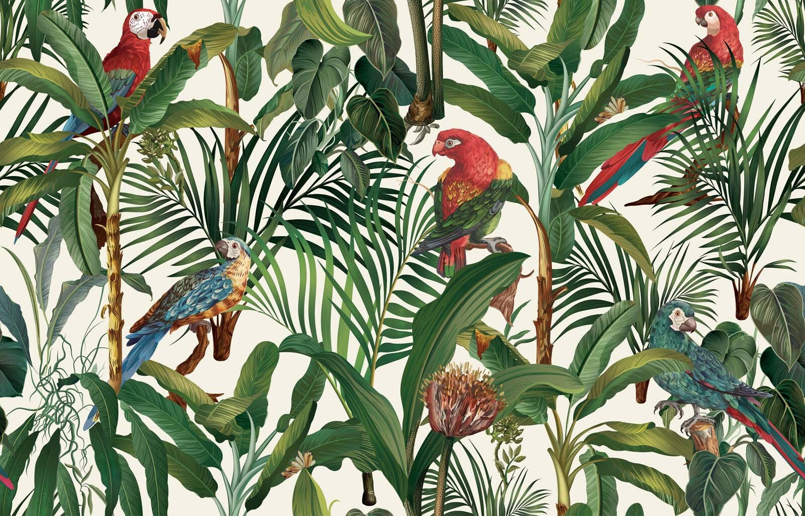 u60117p - Ταπετσαρία με πουλιά και φυτά - tegory