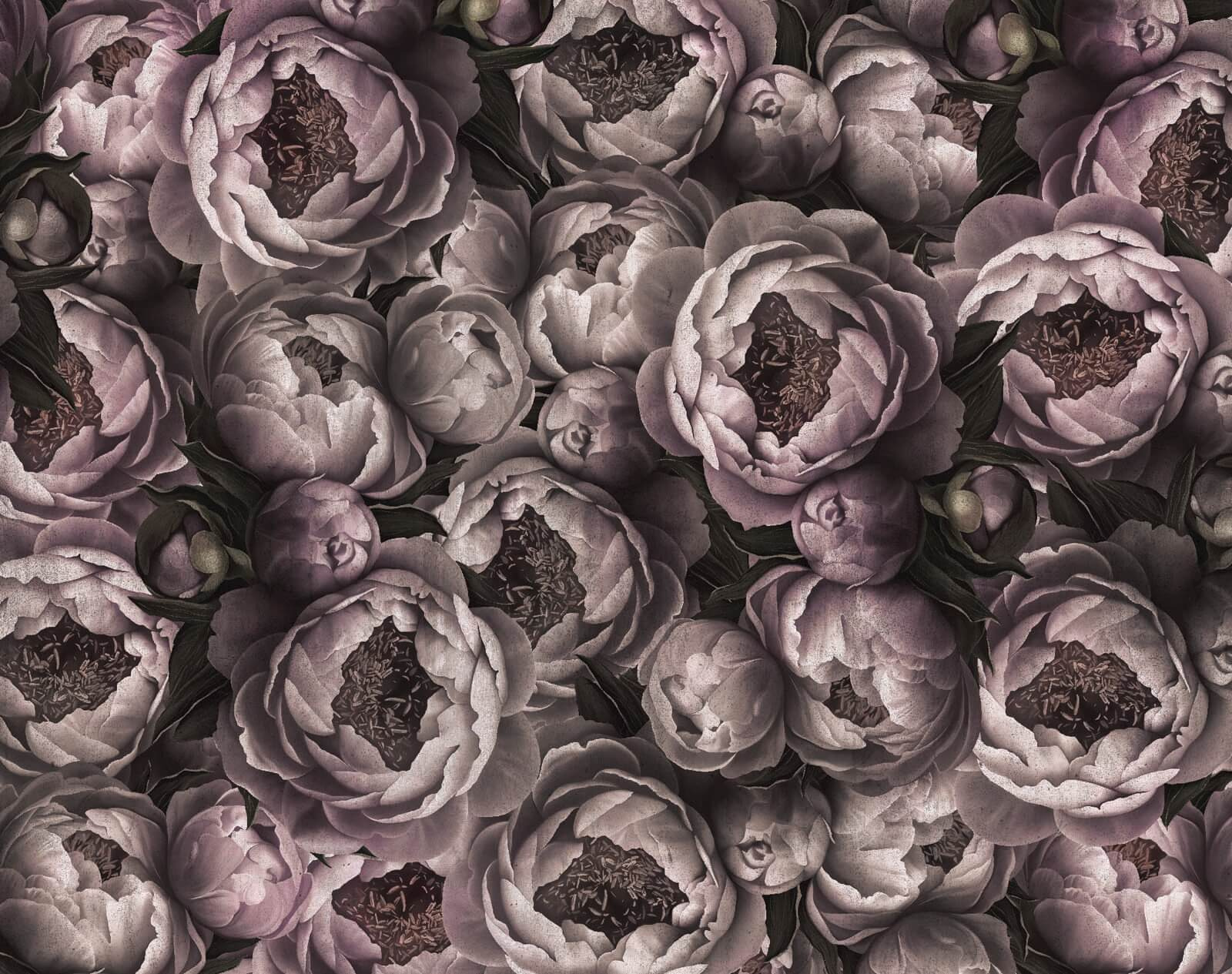 u60496p - Ομάδα λουλουδιών με μπουμπούκια - tegory