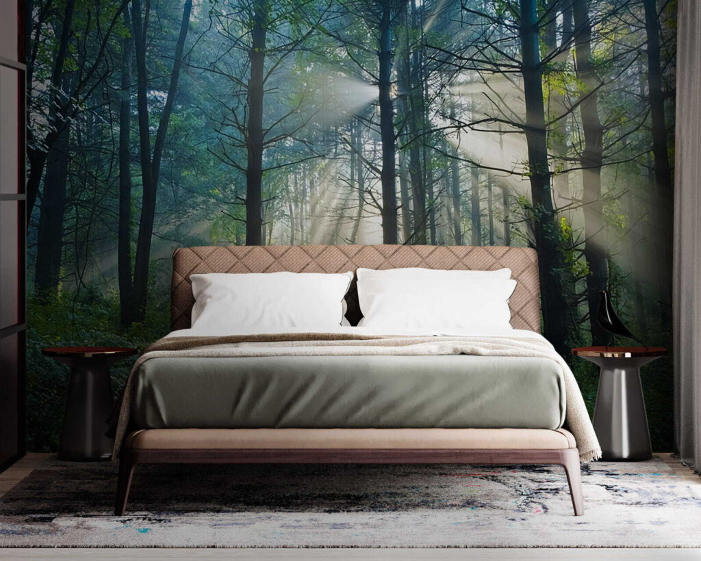 u70959pib1m 1024x819 - Ο ήλιος λάμπει μέσα από τα δέντρα σε ένα δάσος - tegory