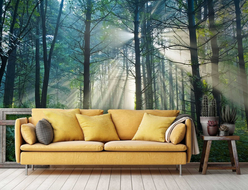 u70959pig1 1024x785 - Ο ήλιος λάμπει μέσα από τα δέντρα σε ένα δάσος - tegory