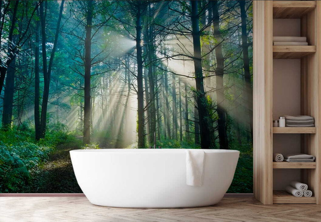 u70959pit1 1024x709 - Ο ήλιος λάμπει μέσα από τα δέντρα σε ένα δάσος - tegory