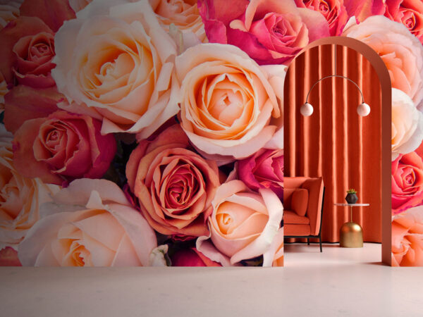 u74346pih1 600x450 - Ομάδα ροζ και λευκών τριαντάφυλλων - tegory