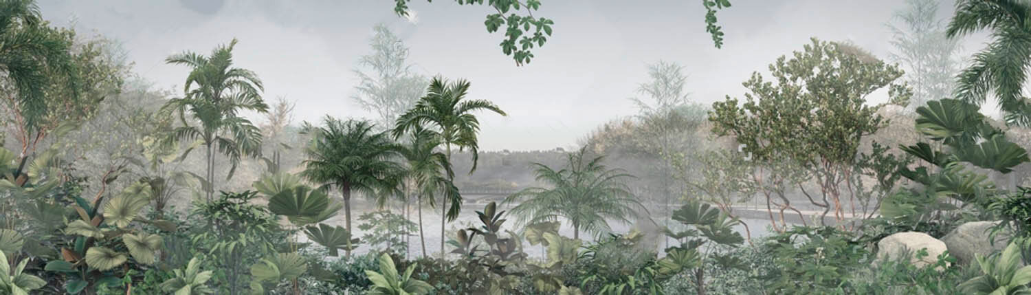 u79743p - Γαλήνιο πρωινό μέσα σε πλούσιο πράσινο - tegory