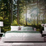 Ταπετσαρίες Ο ήλιος λάμπει μέσα από τα δέντρα