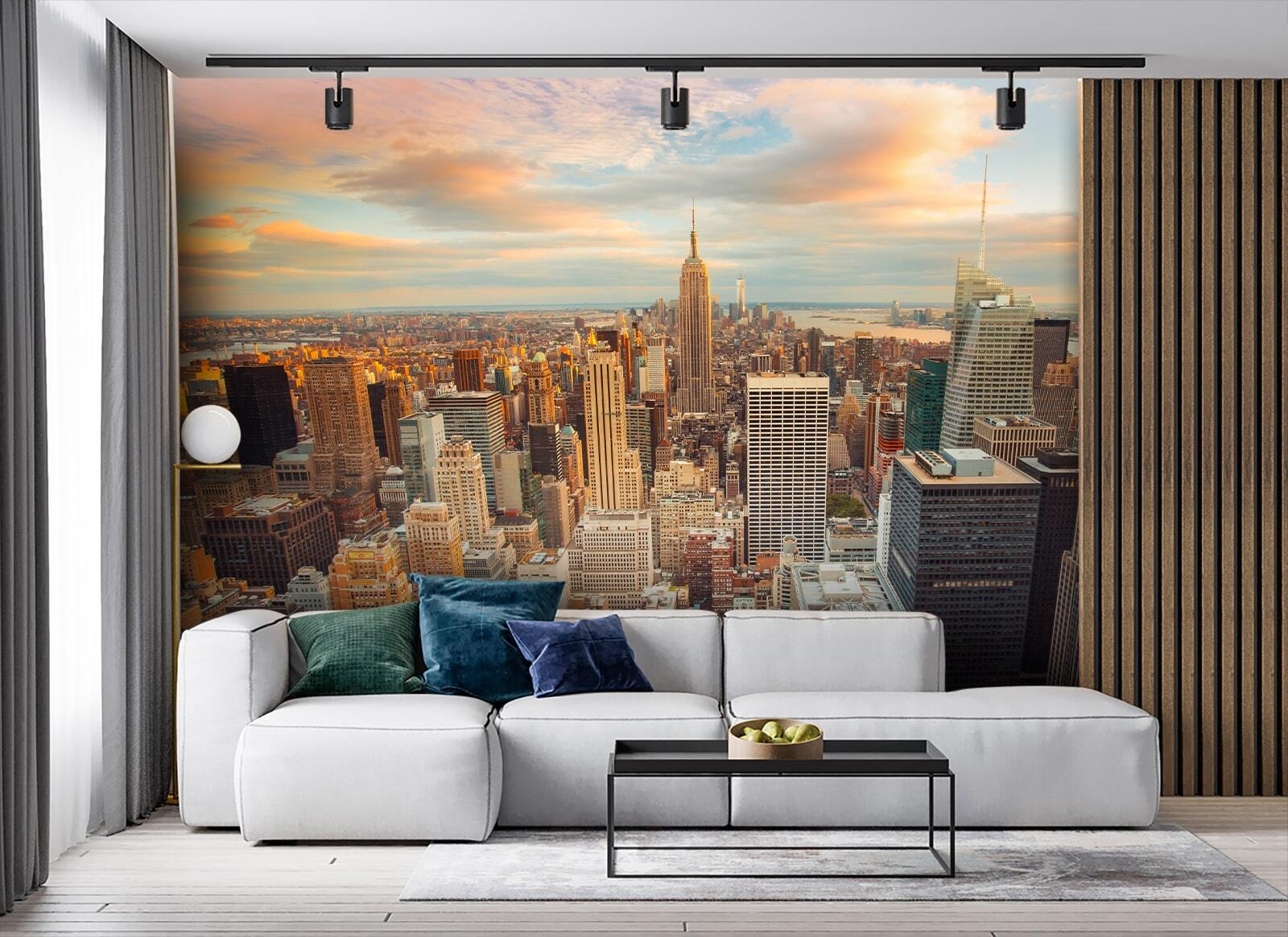 City with many tall buildings