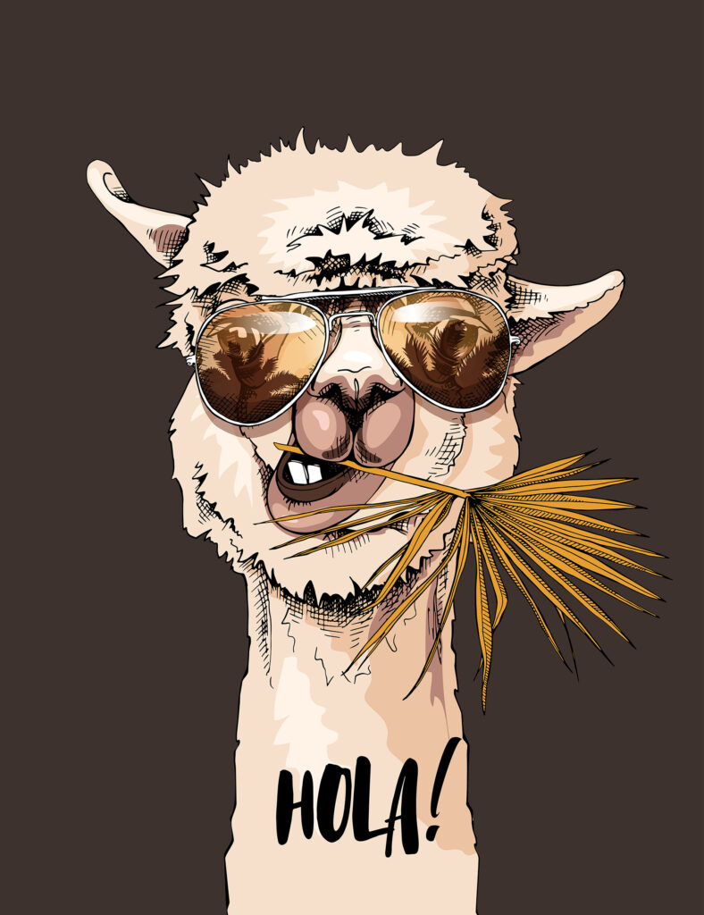 A llama wearing sunglasses and eating a leaf