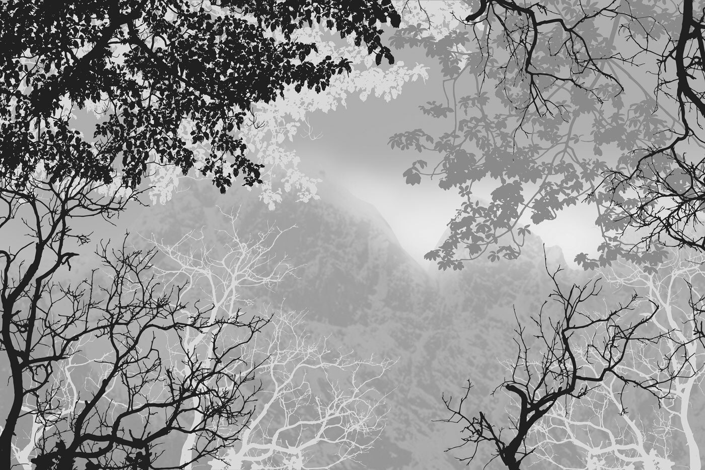 A group of trees with branches and leaves