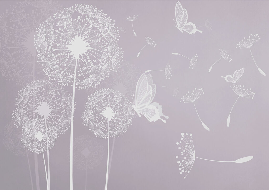 A white dandelions and butterflies