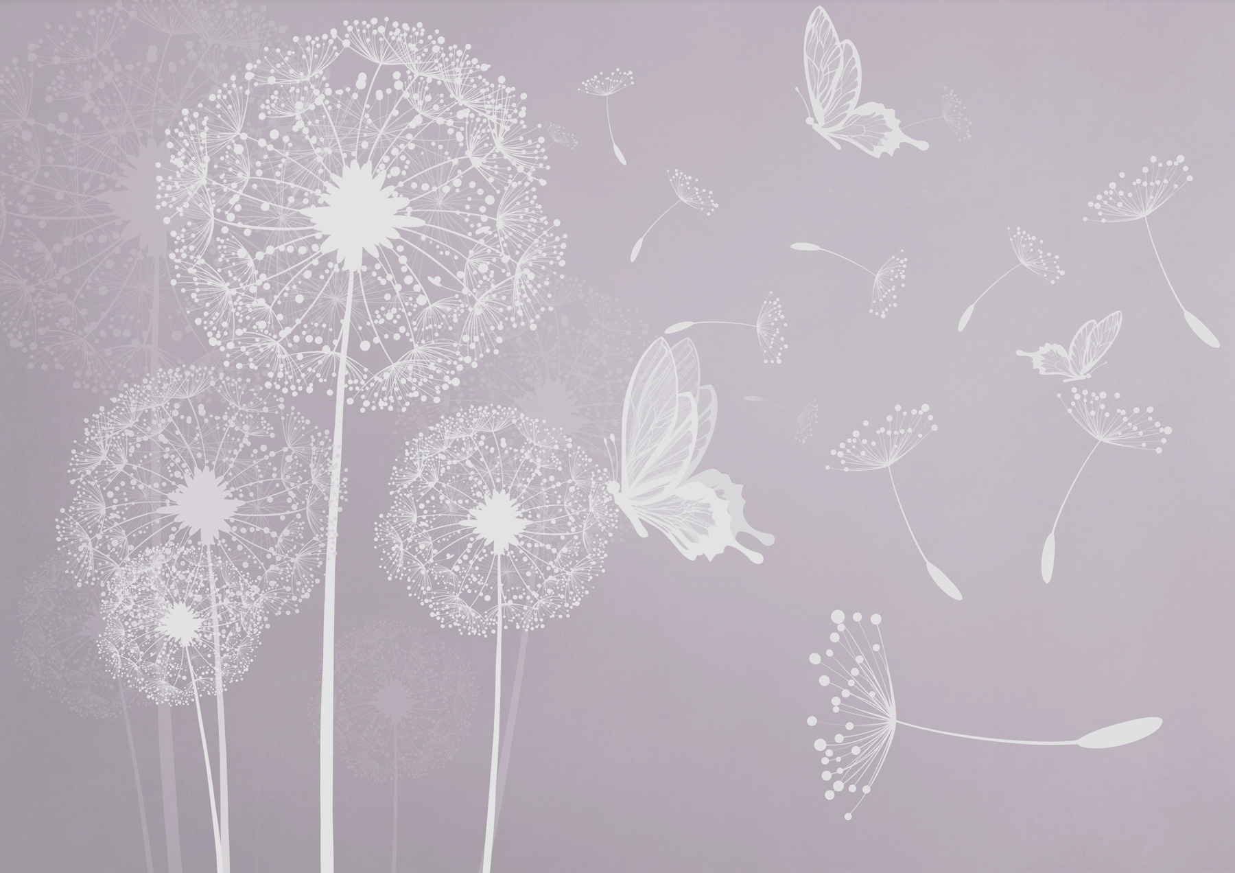 A white dandelions and butterflies