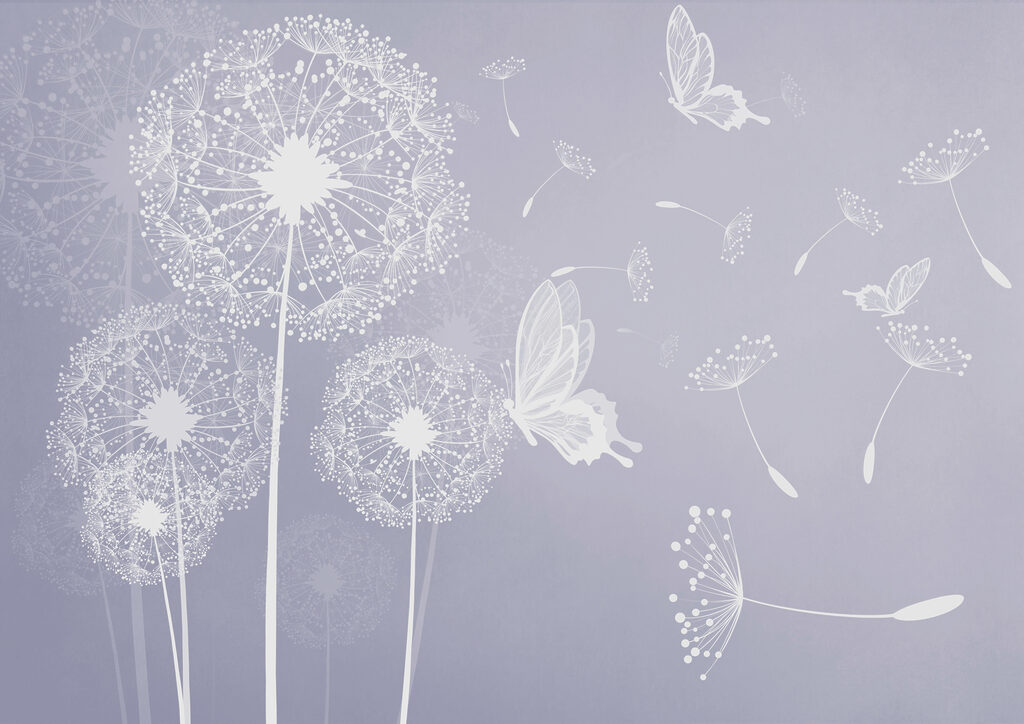 A white dandelions with butterflies flying A white dandelions with butterflies flying