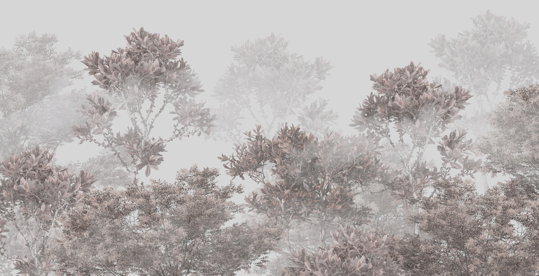 A group of trees with leaves