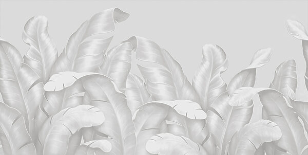 A group of white leaves A group of white leaves