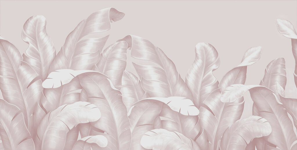 A close up of leaves