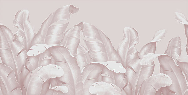 A close up of leaves