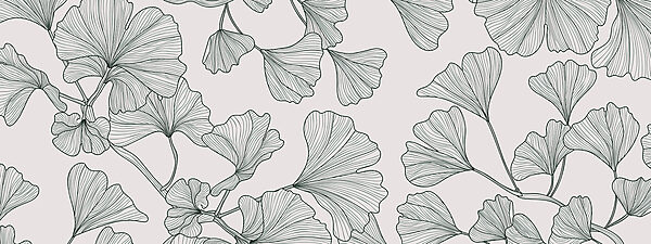A close up of leaves