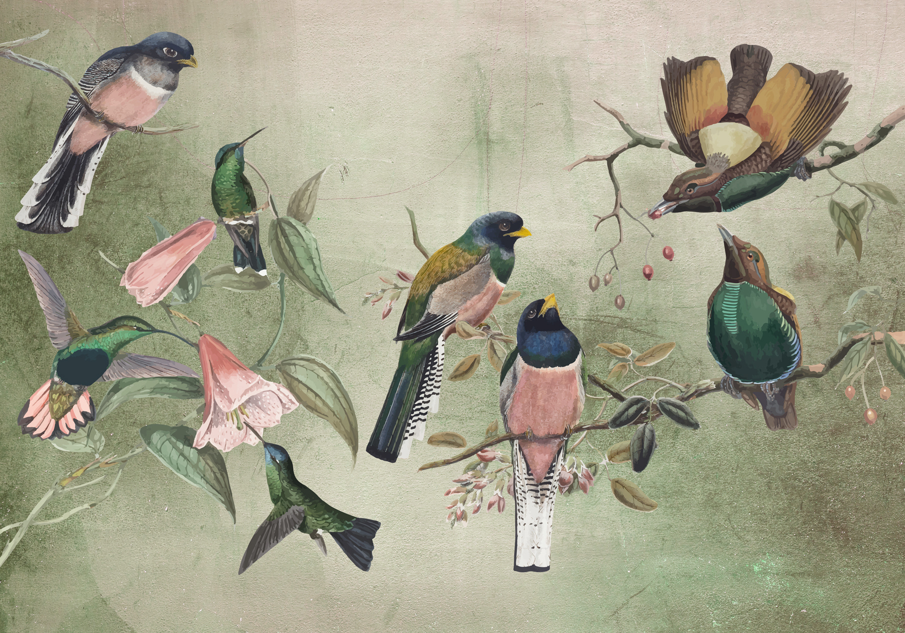 w00543p - Μια ομάδα πουλιών σε ένα κλαδί - tegory