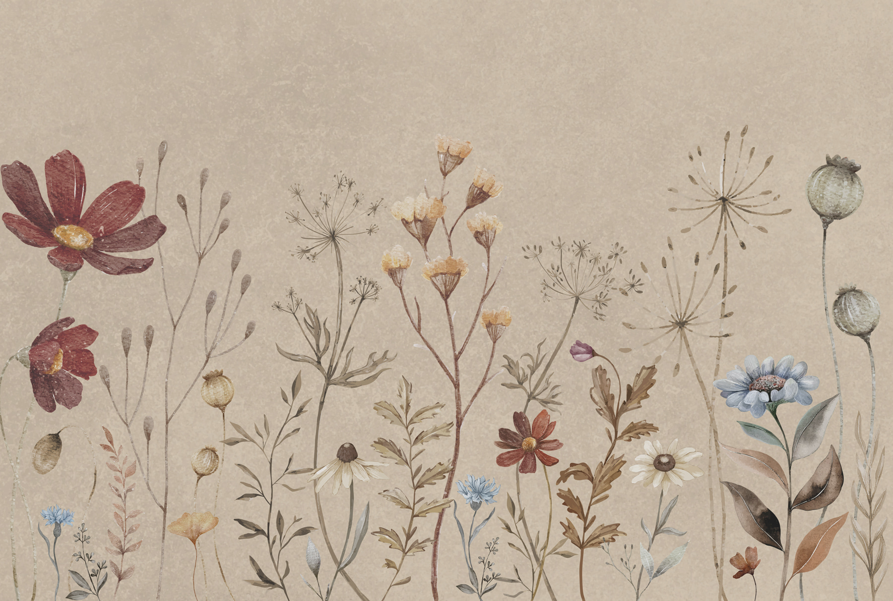 w00580p - Ένα κοντινό πλάνο λουλουδιών - tegory