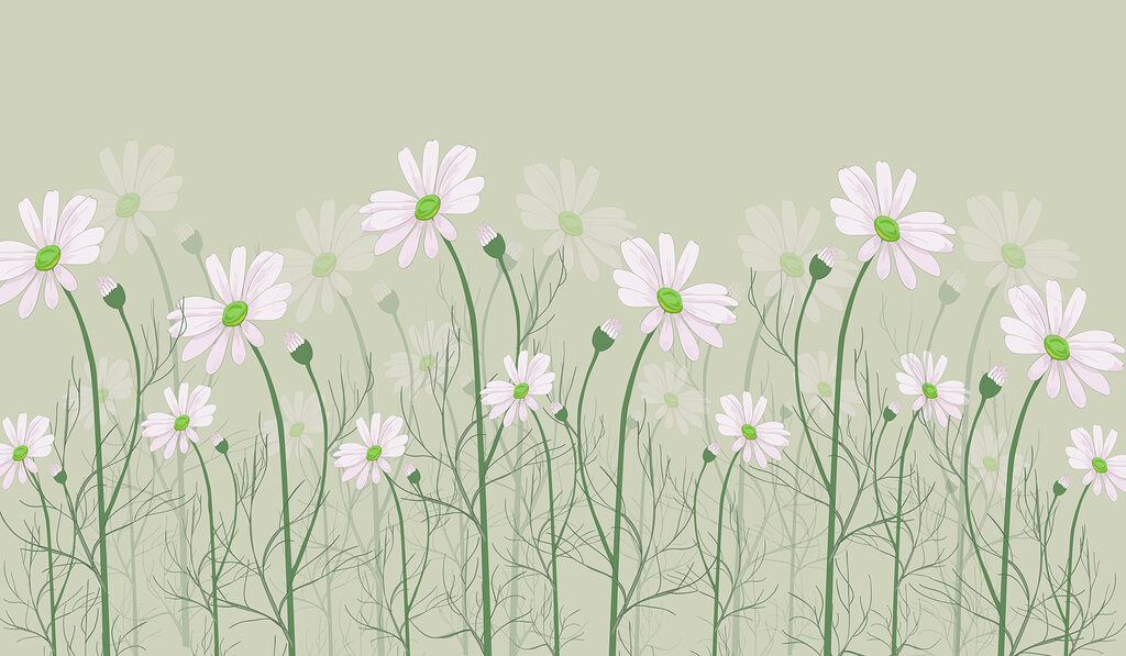 A group of white flowers