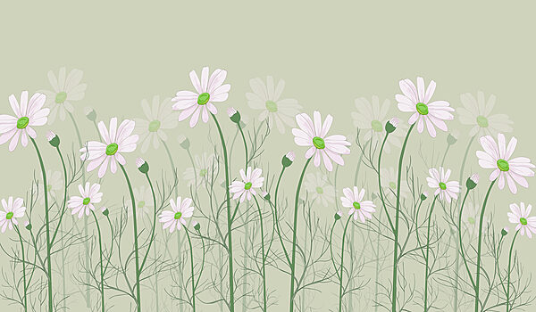 A group of white flowers